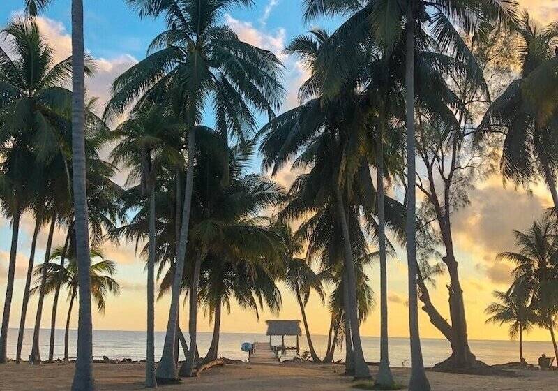 בית מלון כפרי Pelican Beach Resort - Dangriga