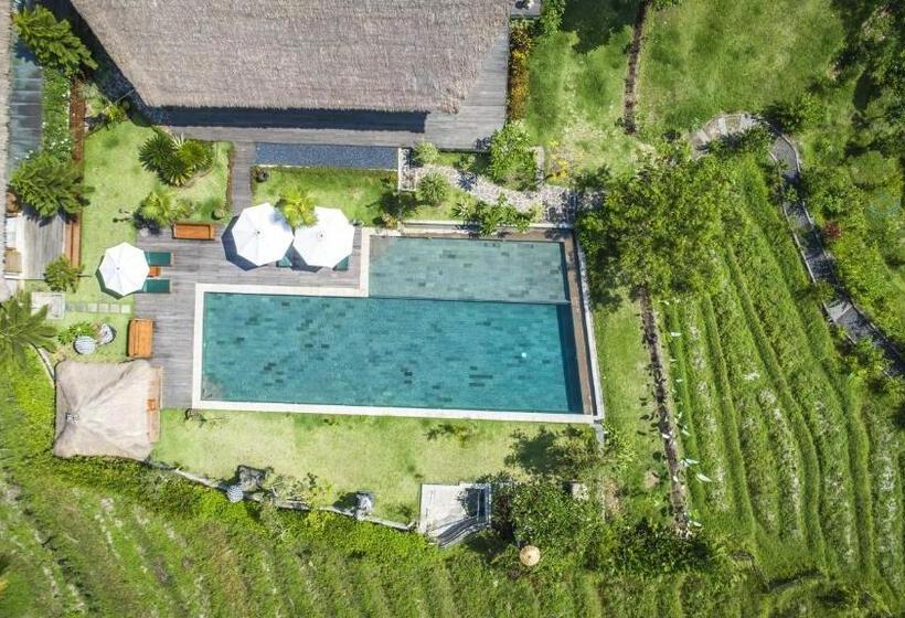 ホテル Villa Kropak