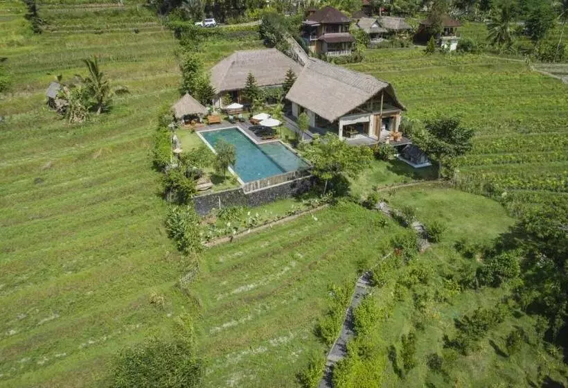 ホテル Villa Kropak