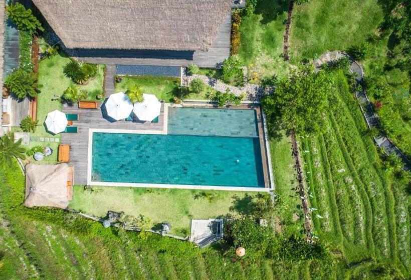 ホテル Villa Kropak