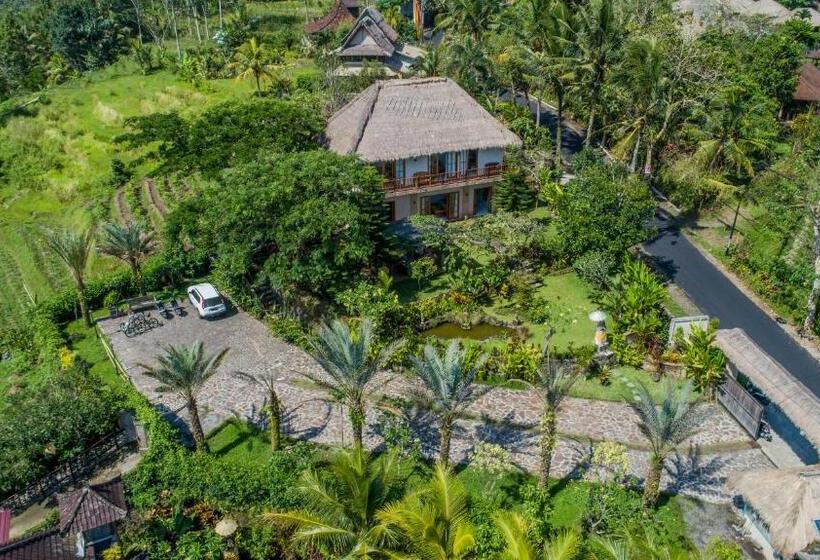 ホテル Villa Kropak