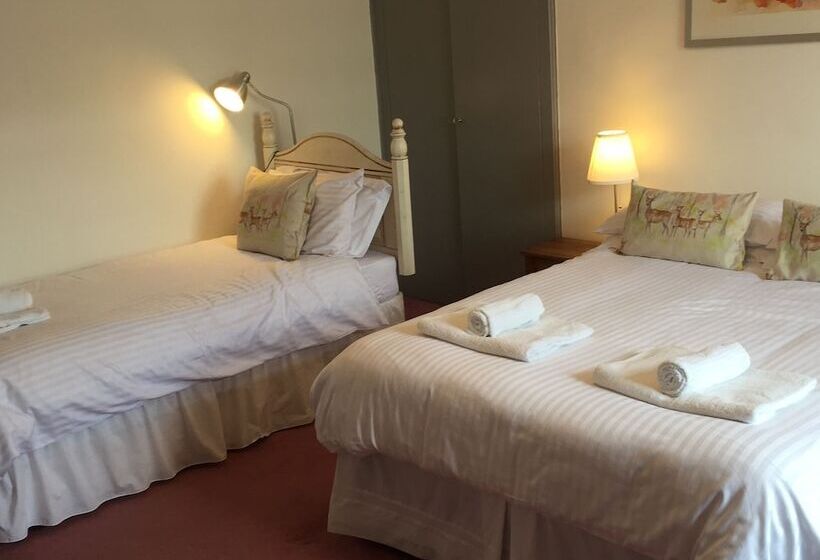 مبيت وإفطار Lovat House