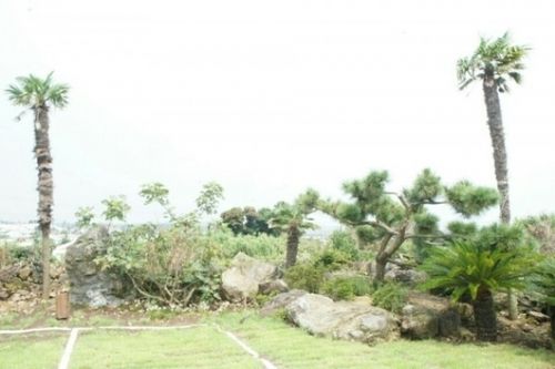 Morning Star Pension