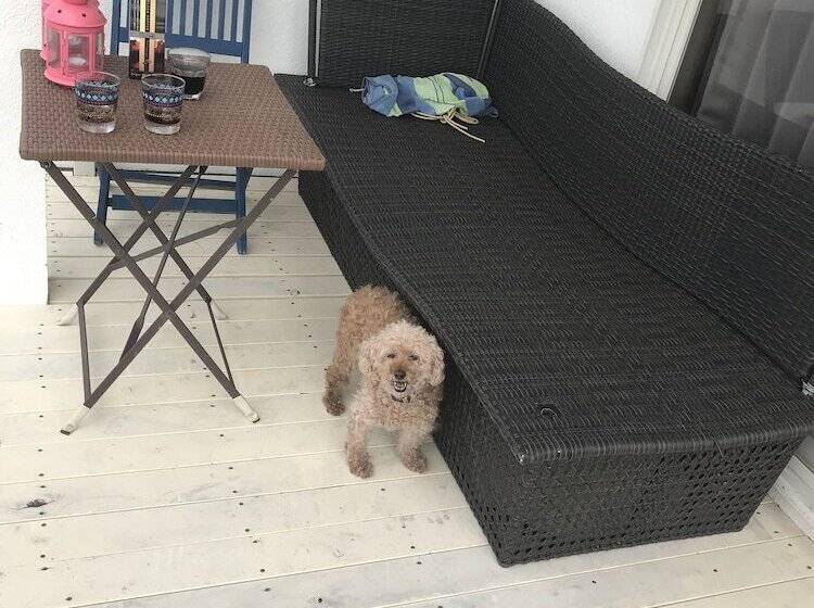 Pansiyon Guest House Lohas Home