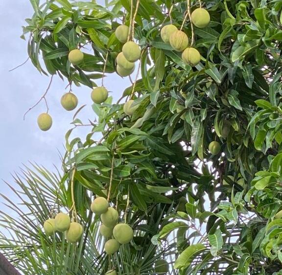 بنسيون Nan Inn Bungalow