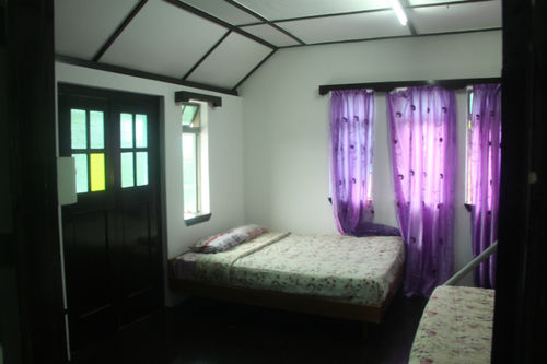 De  Native Guest House  Hostel