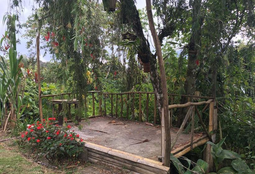 De  Native Guest House  Hostel