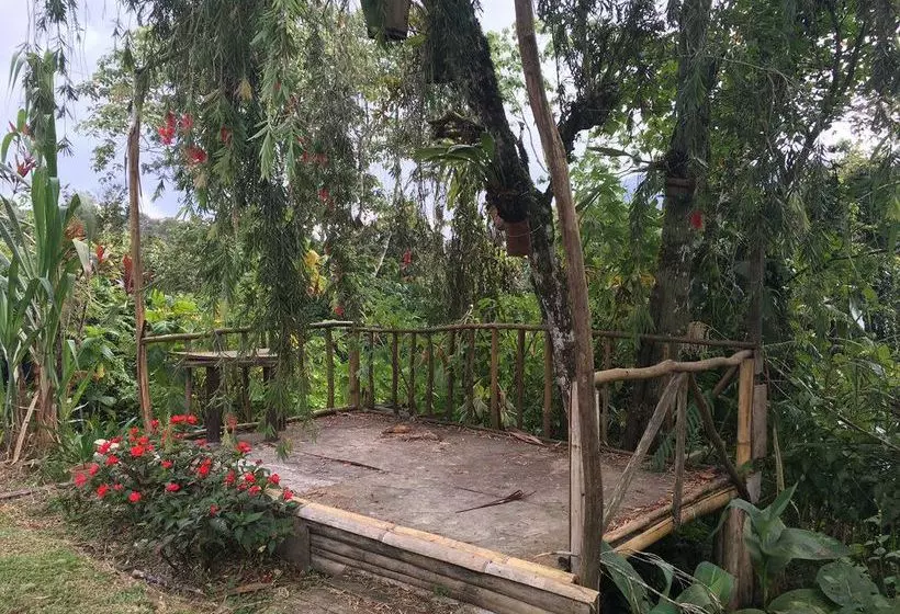 De Native Guest House Hostel