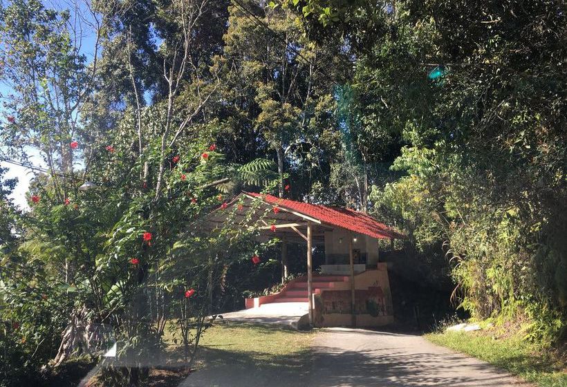 De  Native Guest House  Hostel