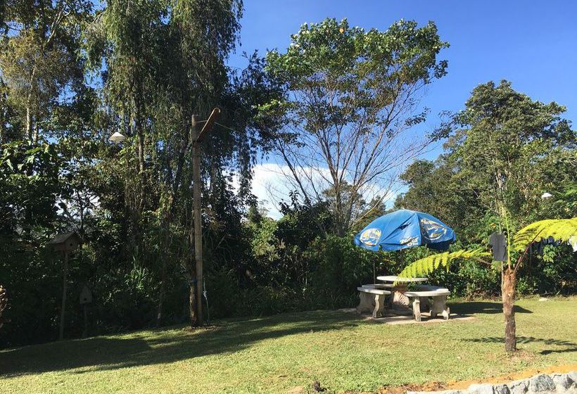 De  Native Guest House  Hostel