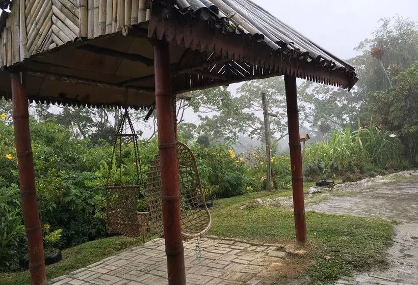 De Native Guest House Hostel