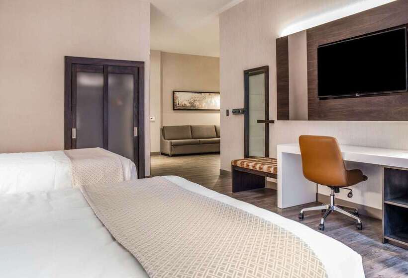 Cambria Hotel Chicago Loop   Theatre District