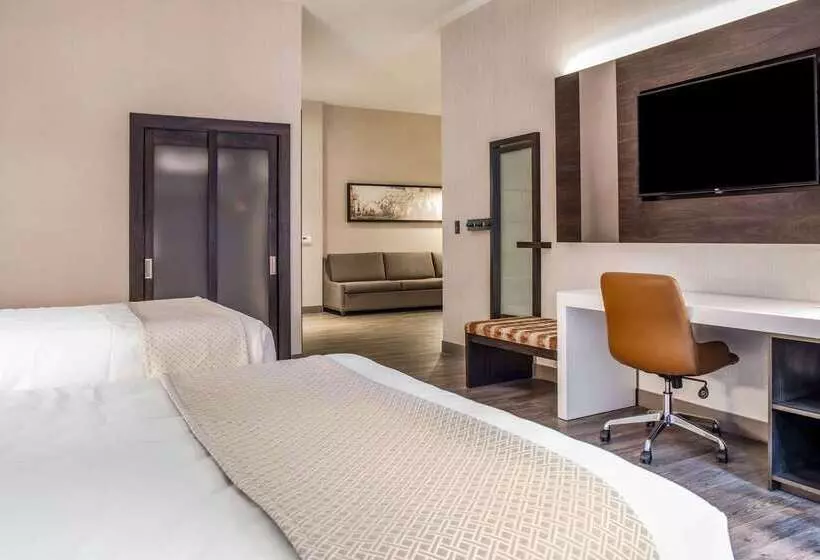 Cambria Hotel Chicago Loop   Theatre District