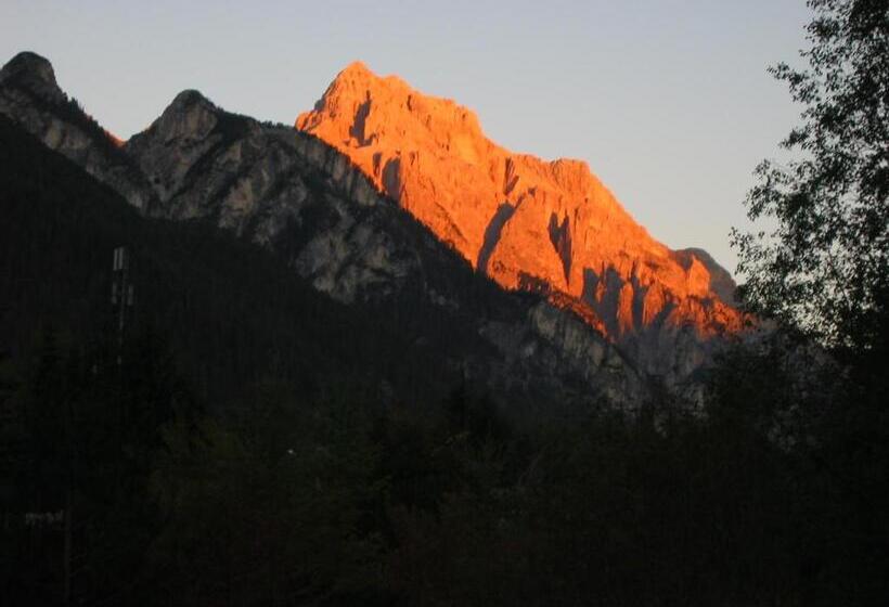 Piccolo Hotel Claudia No Pets