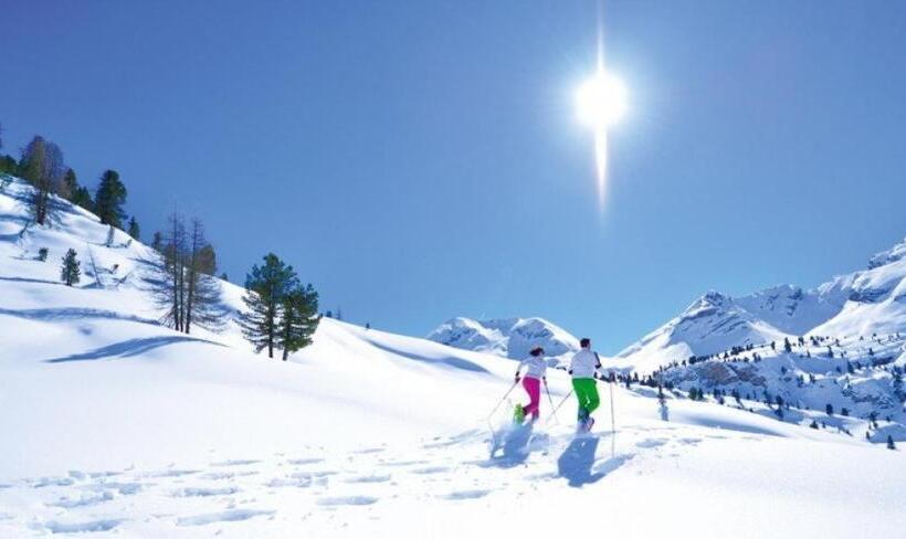 Piccolo Hotel Claudia No Pets