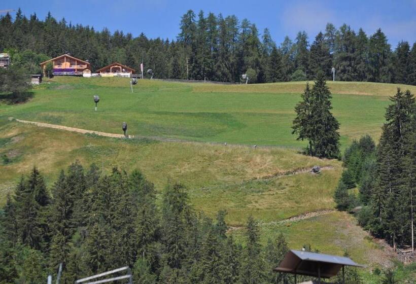 Piccolo Hotel Claudia No Pets