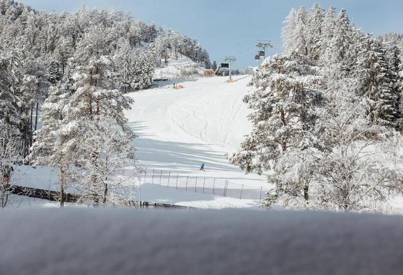 Piccolo Hotel Claudia No Pets