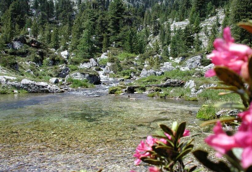 Piccolo Hotel Claudia No Pets