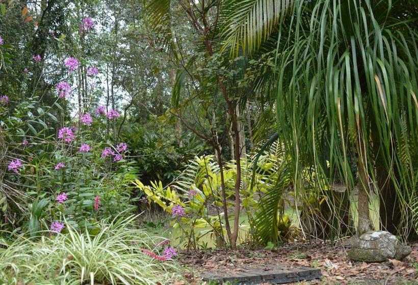 Poppies Bed And Breakfast