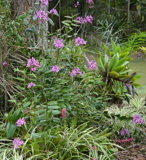 Poppies Bed And Breakfast