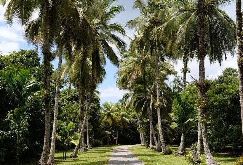 Aamiaismajoitus (B&B) Cape Trib Farm