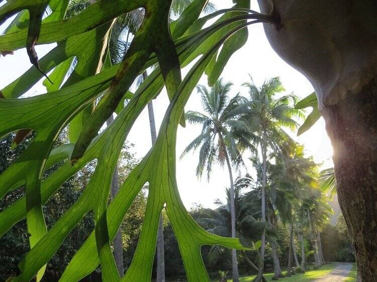 민박 Cape Trib Farm