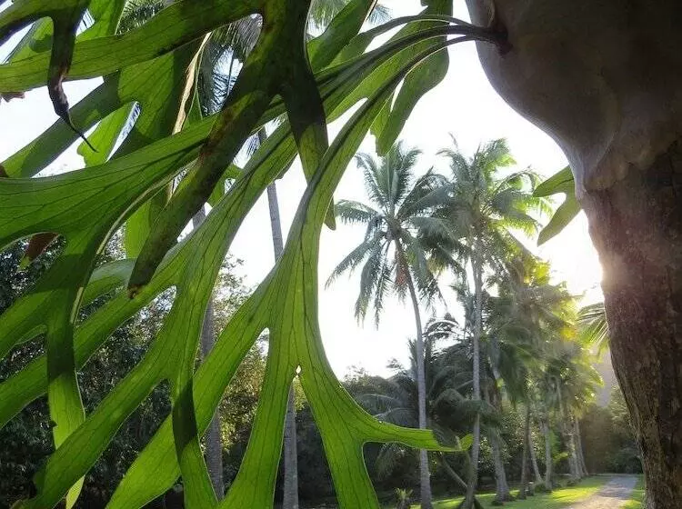 Aamiaismajoitus (B&B) Cape Trib Farm