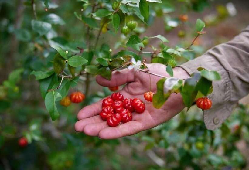 민박 Cape Trib Farm