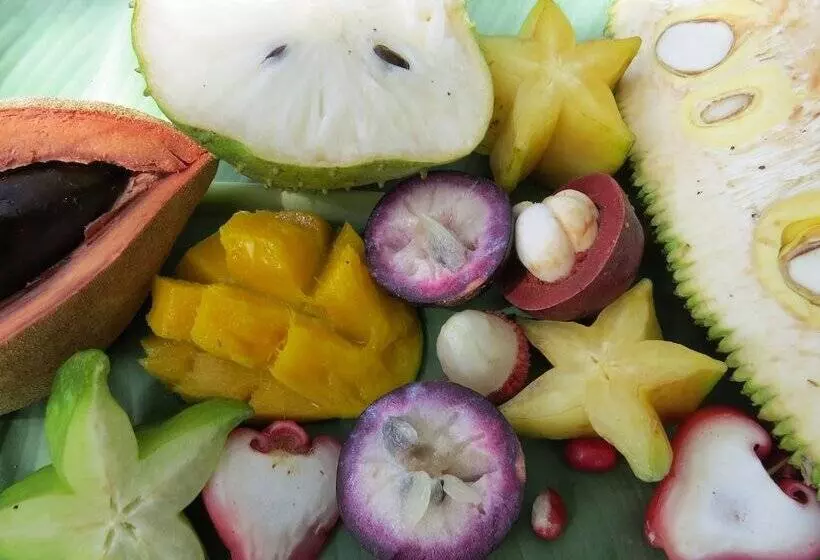 Aamiaismajoitus (B&B) Cape Trib Farm