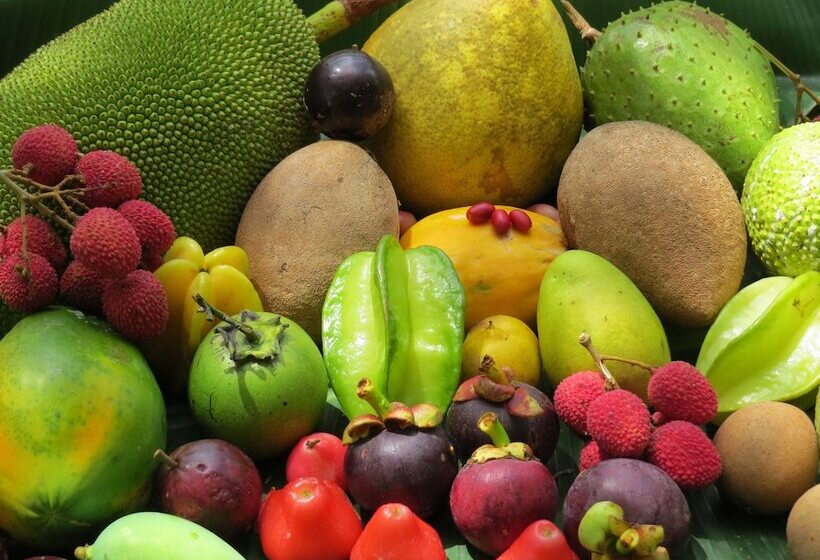 민박 Cape Trib Farm