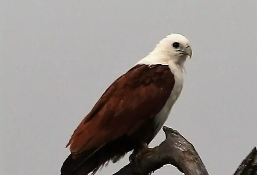 Aamiaismajoitus (B&B) Cape Trib Farm