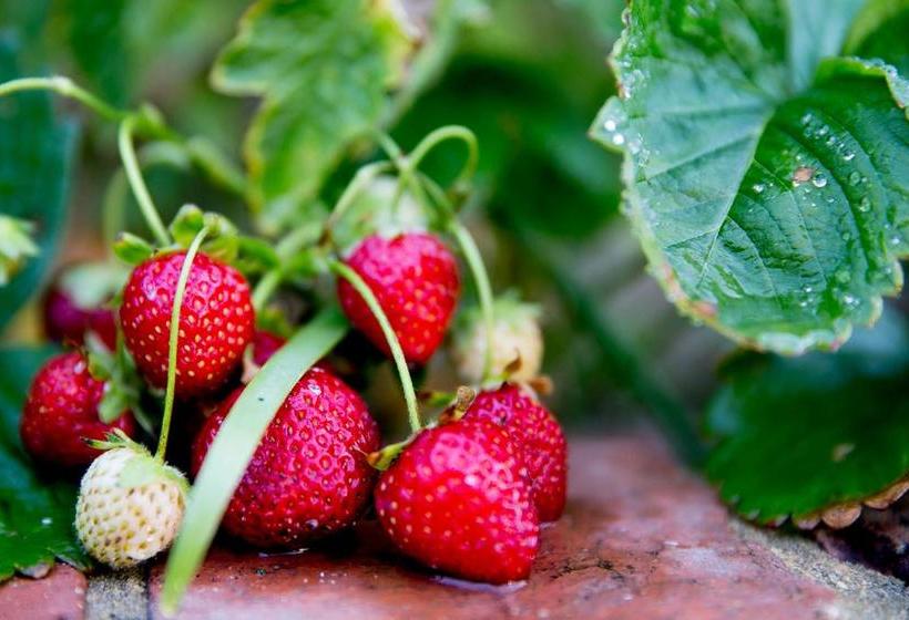 민박 Character & Charm In The Heart Of The City