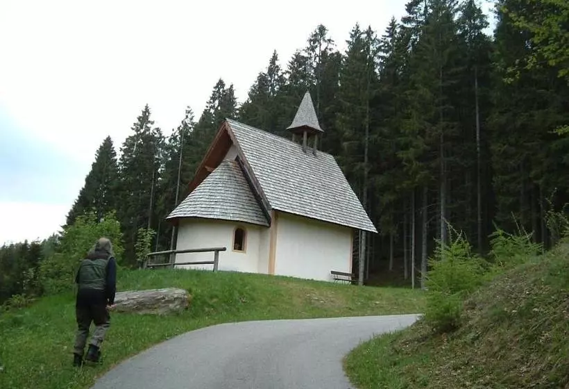 ホテル Chalet Nel Doch Villa Cheia
