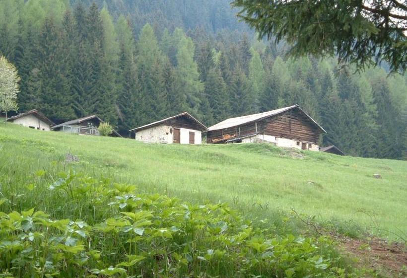ホテル Chalet Nel Doch Villa Cheia