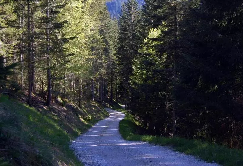 ホテル Chalet Nel Doch Villa Cheia