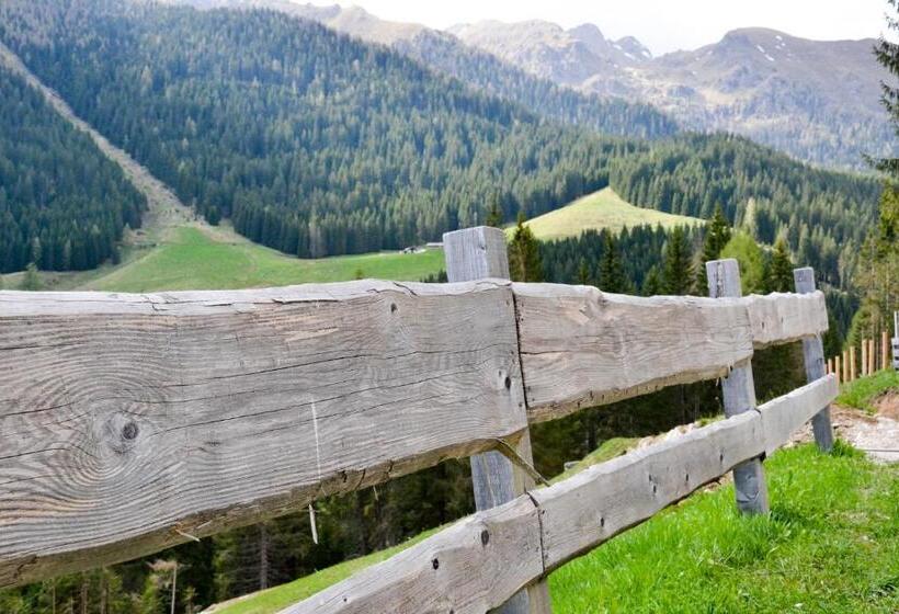 ホテル Chalet Nel Doch Villa Cheia