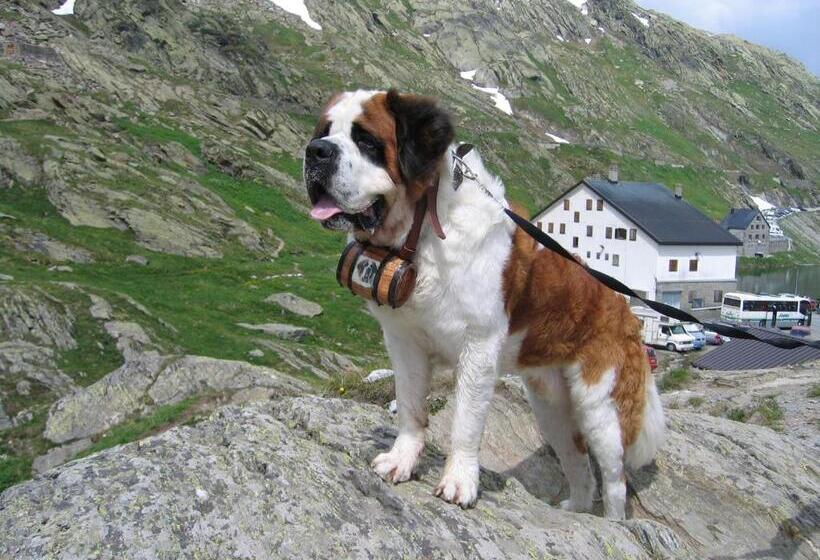 Szálloda Rendez Vous Aymavilles