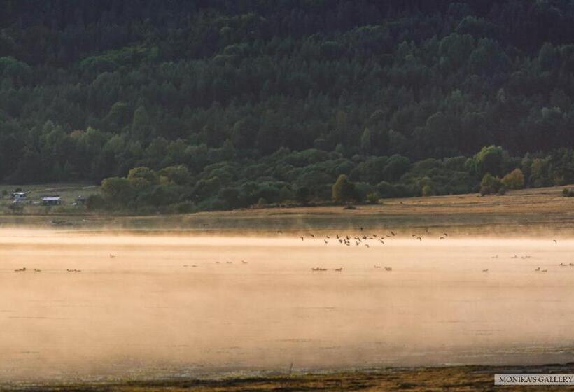 ホテル Villa Santa Maria