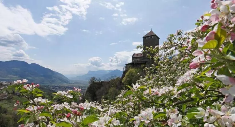 هتل Zum Tiroler Adler