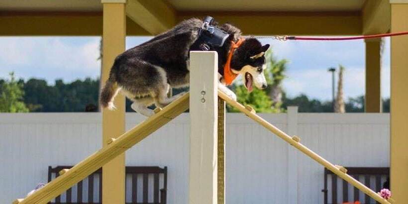 Georgetown Centrally Located 3/2 Designer Home