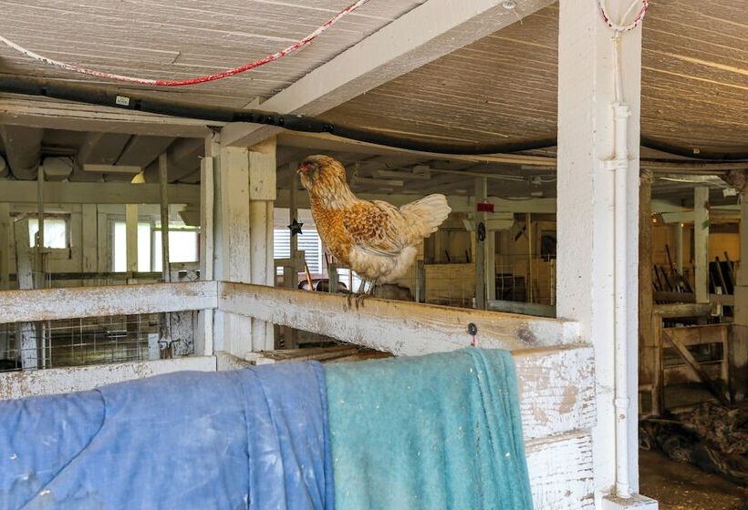 Honesdale Cabin On 110 Acre Farm: Pets Welcome!