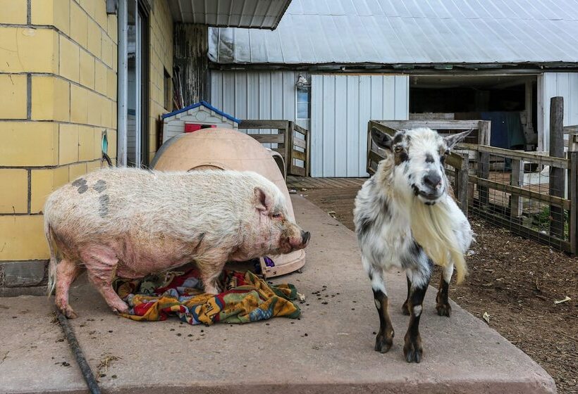 Honesdale Cabin On 110 Acre Farm: Pets Welcome!
