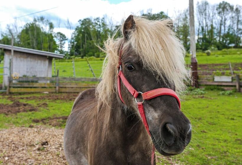 Honesdale Cabin On 110 Acre Farm: Pets Welcome!