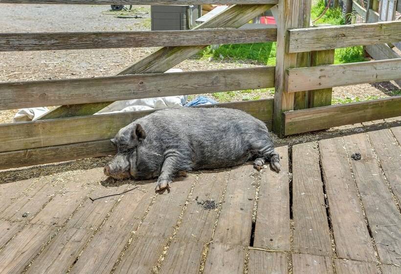 Honesdale Cabin On 110 Acre Farm: Pets Welcome!