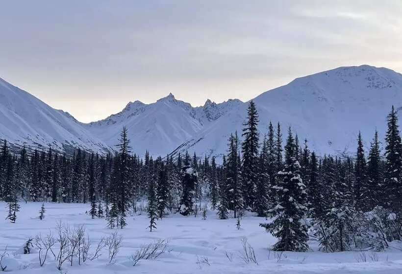 Hotelli Cantwell Cabins