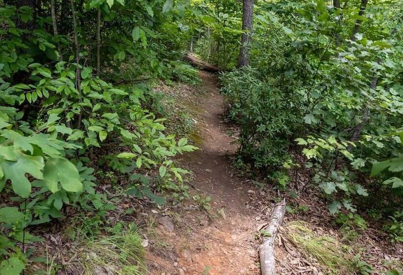 Among The Clouds By Avantstay Views + Hot Tub