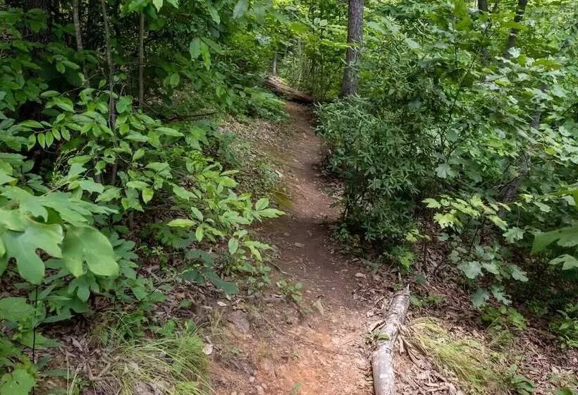 Among The Clouds By Avantstay Views + Hot Tub