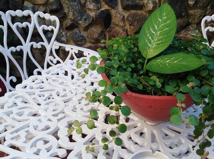 تختخواب و صبحانه Hostal La Esmeralda