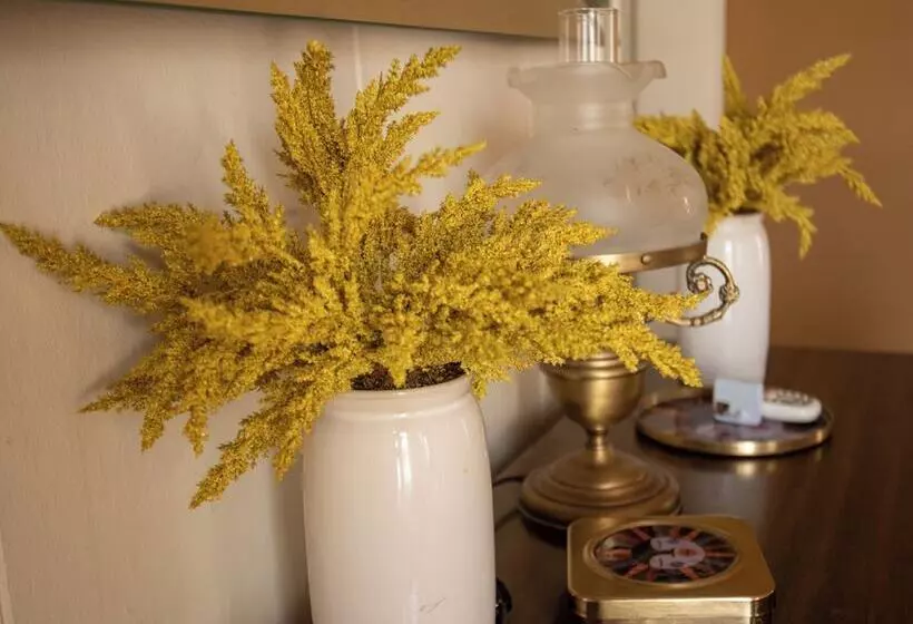 Aamiaismajoitus (B&B) The Boho Buffalo Inn