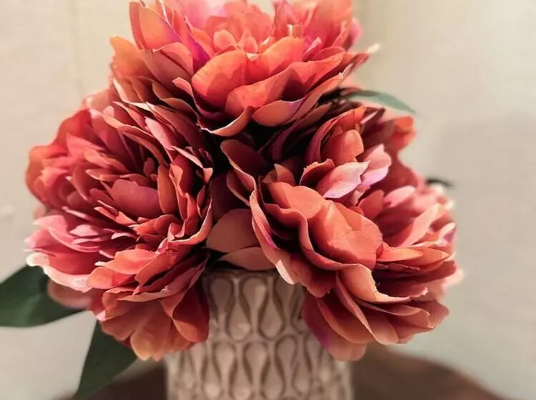 Aamiaismajoitus (B&B) The Boho Buffalo Inn